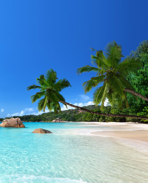 A descriptive alt text